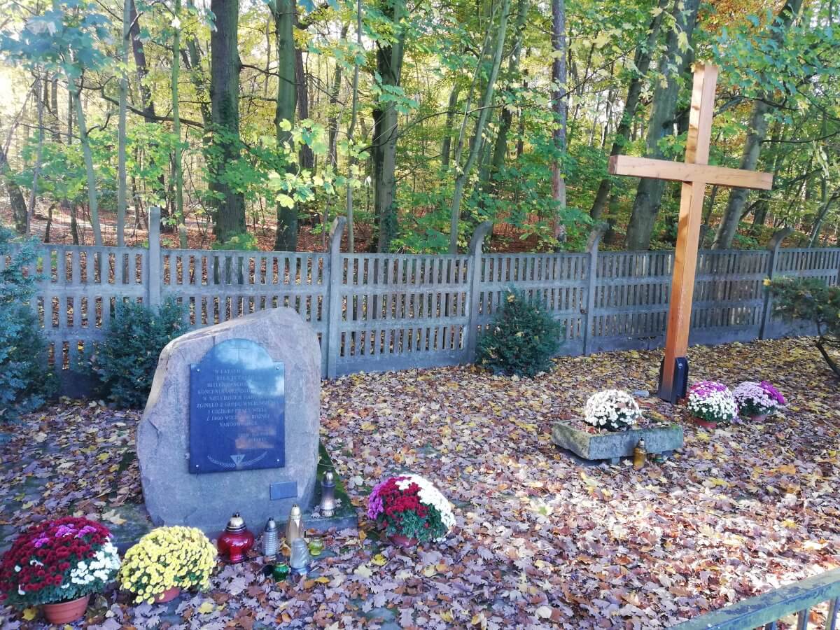 Pomnik przy ul. Ofiar Stutthofu w Policach przyozdobiony chryzantemami