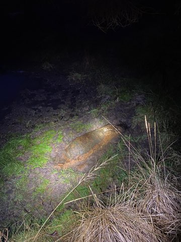 Na zdjęciu znajduje się bomba lotnicza przysypana ziemią