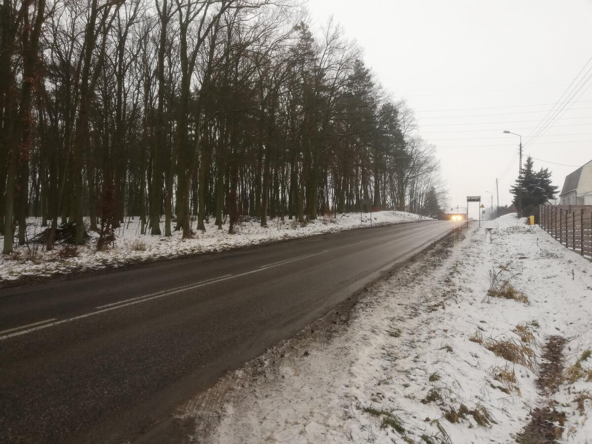 Odcinek drogowy Police-Szczecin przez miejscowość Przęsocin
