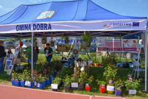 Stoisko Gminy Dobra podczas Weekendu Otwartych Ogrodów