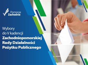 wybory przedstawicieli ngo grafika