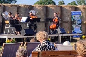 Zespół smyczkowy podczas koncertu