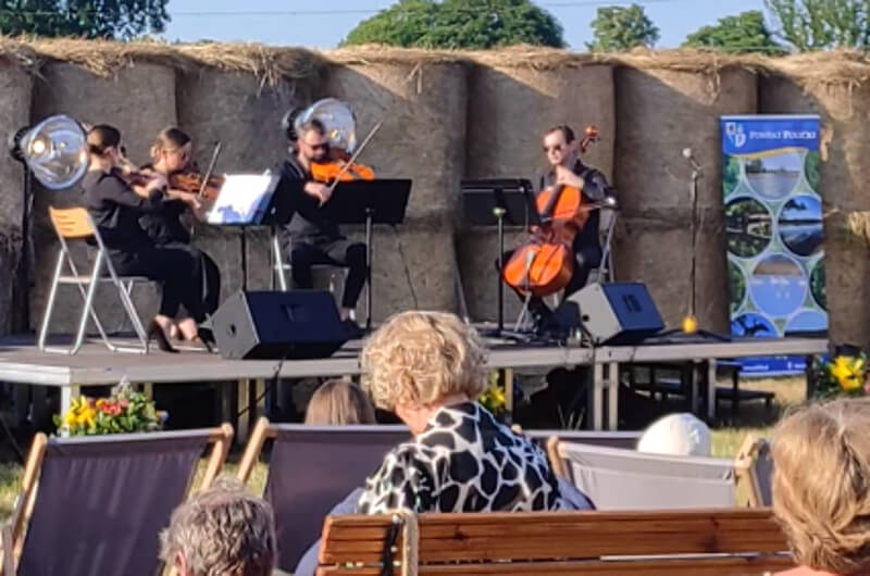 Zespół smyczkowy podczas koncertu