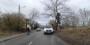 Ulica, a na niej samochody