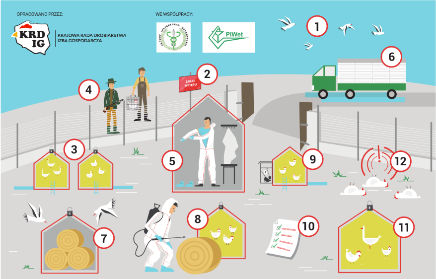 Zasady ochrony drobiu przed chorobą obrazek pokazujący czynności