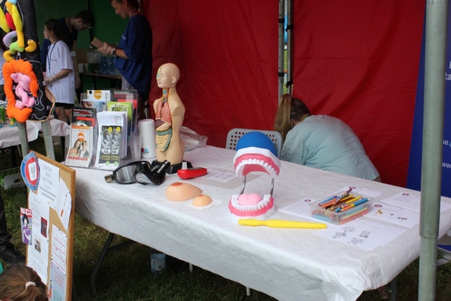 Stoisko zdrowia Państwowej Inspekcji Sanitarnej, widoczna jest szczęka oraz lalka z poglądem na ludzkie organy.