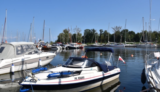 Łódki na wodzie w porcie jachtowym