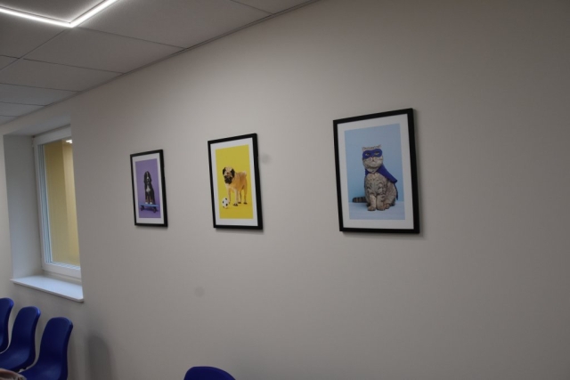 Zdjęcie obrazów na ścianie przedstawiających zwierzęta