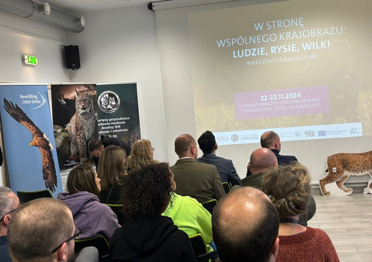 Prezentacja oraz uczestnicy wydarzenia